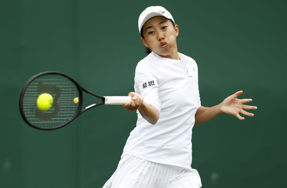 动协会举办 动协会举办