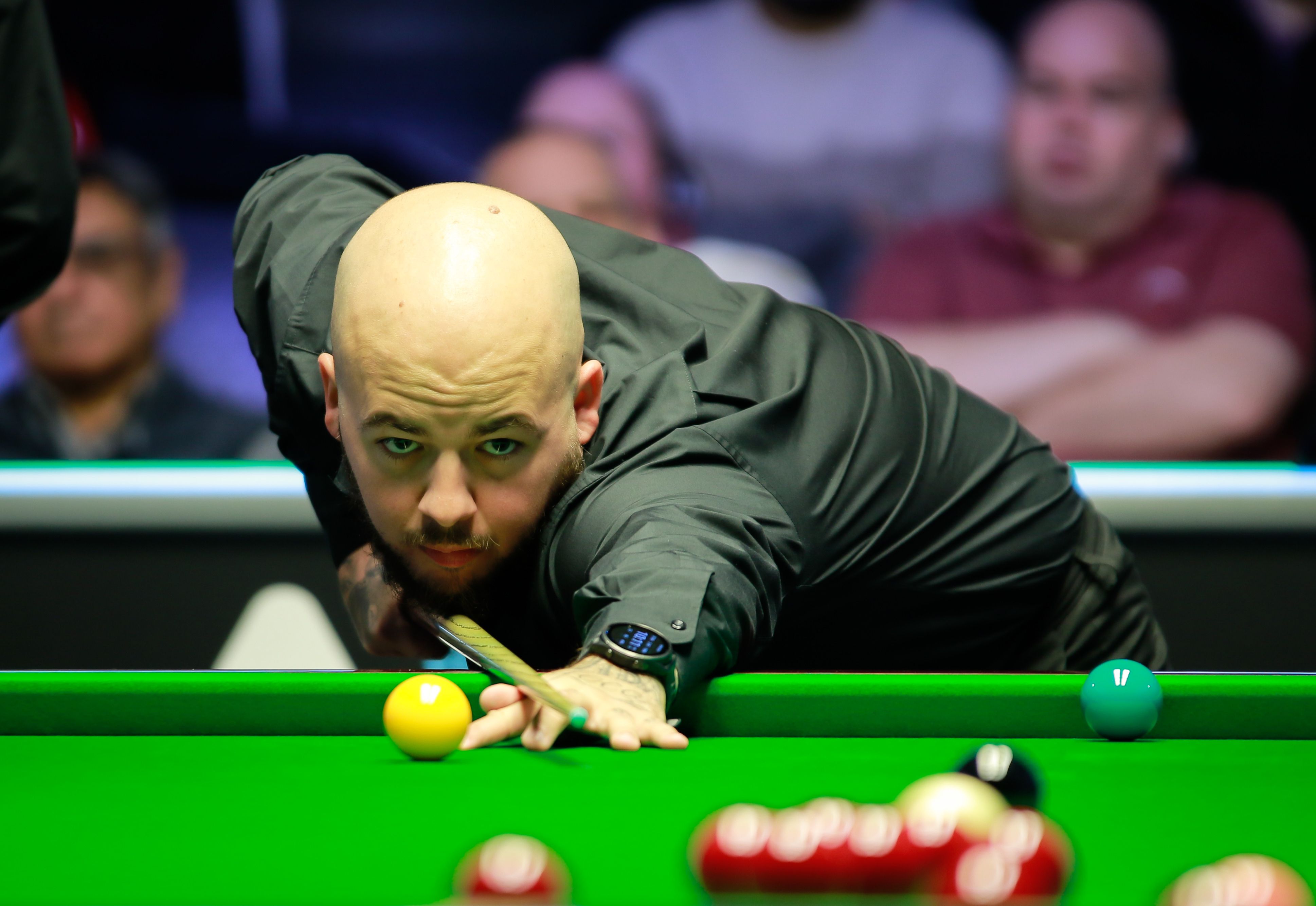 费尔明的情 费尔明的情