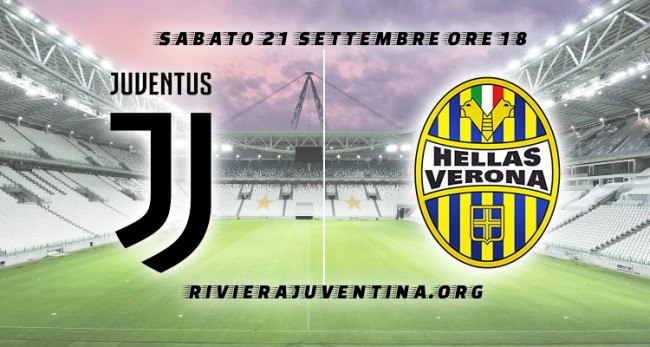 资产和粉丝 资产和粉丝